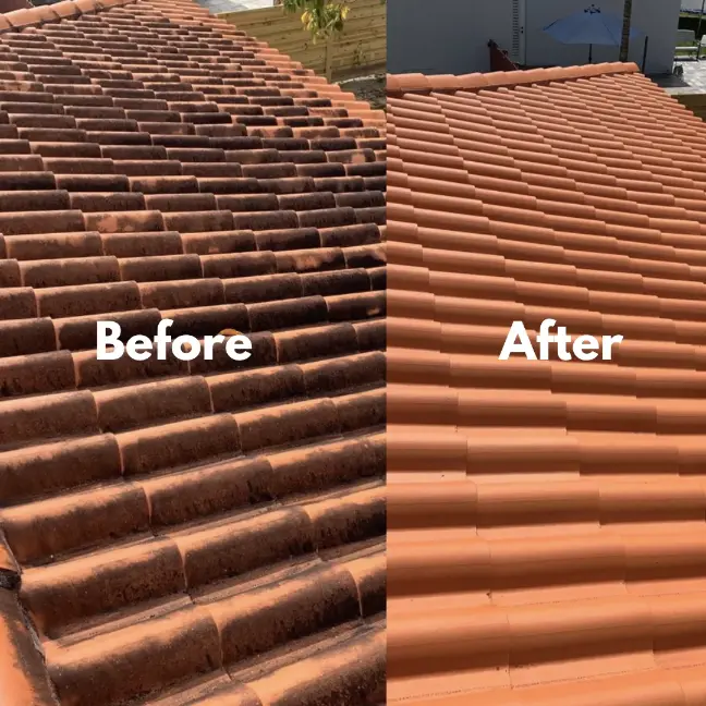roof cleaning soft washing service